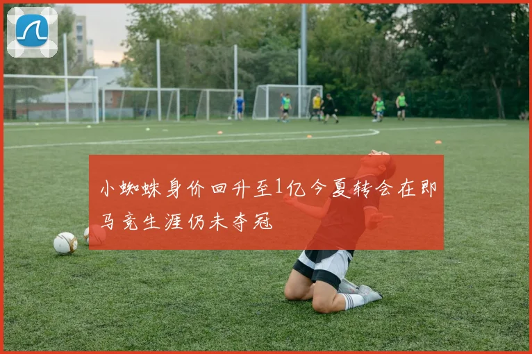 小蜘蛛身价回升至1亿今夏转会在即马竞生涯仍未夺冠